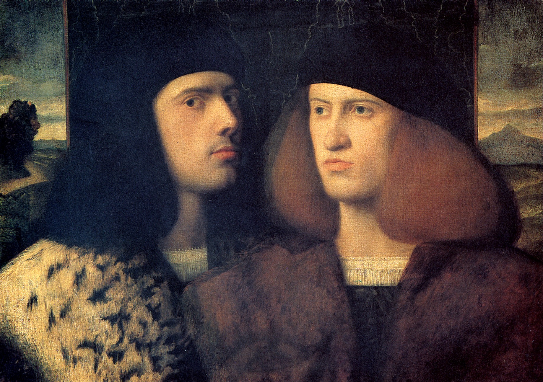 CARIANI GIOVANNY (expected author)